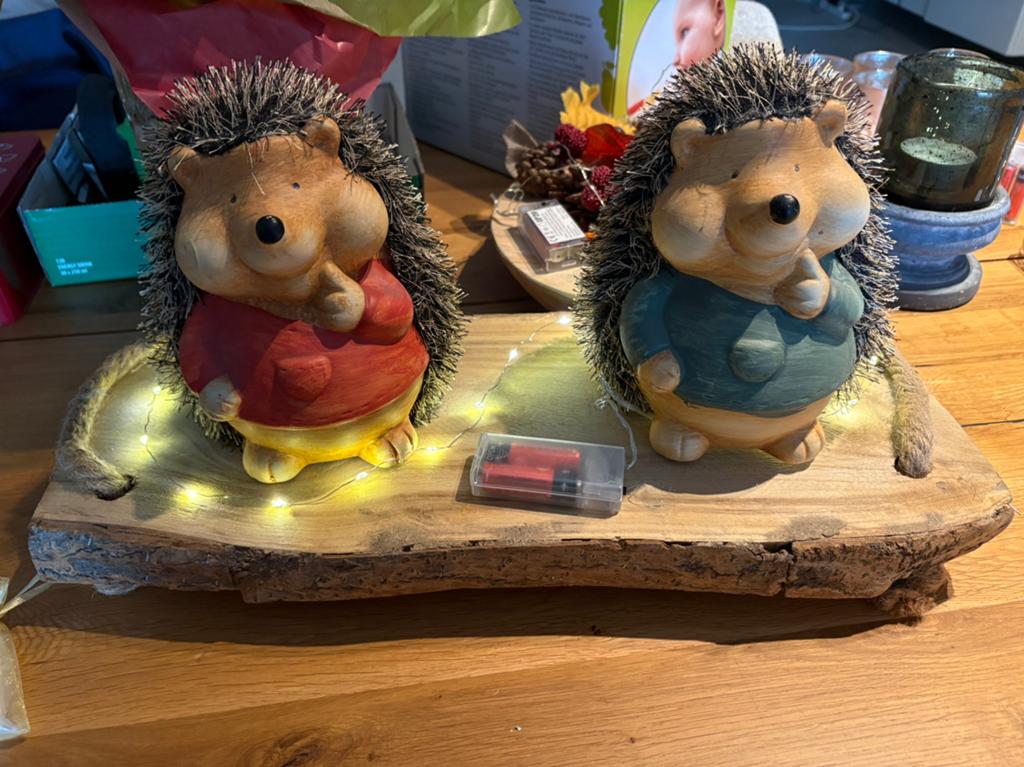 Seizoens deco, Diversen, Ophalen, Gebruikt