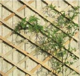 Klimrekje muur in hout, Ophalen, Nieuw, Hout, Overige typen