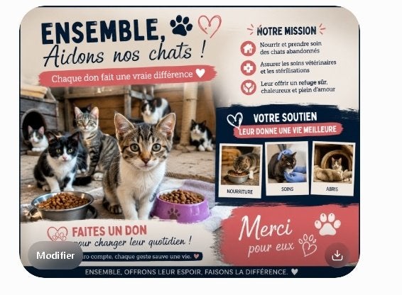 rechercche don alimentaire pour chat, Enlèvement ou Envoi, Chat
