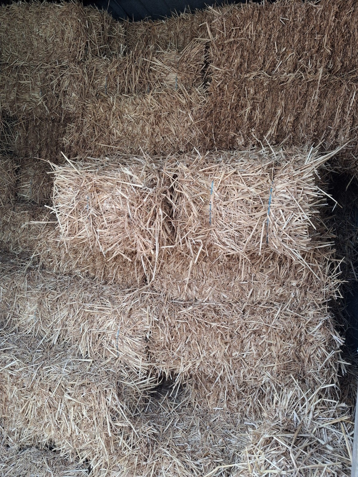 stro in kleine botten, Dieren en Toebehoren, Paarden en Pony's | Overige Paardenspullen, Ophalen