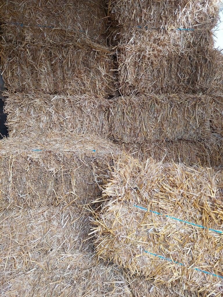 Kleine en groote pakke stro, Zakelijke goederen, Landbouw | Veevoer, Ophalen