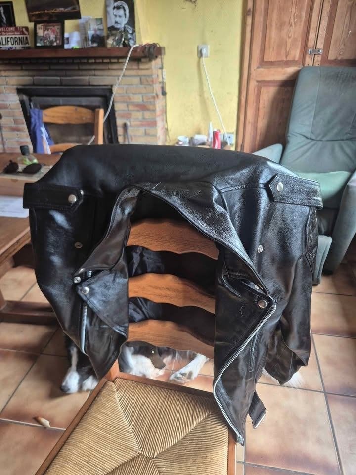 Veste en cuir véritable XL, Femmes, Seconde main, Enlèvement, Jerry & Co