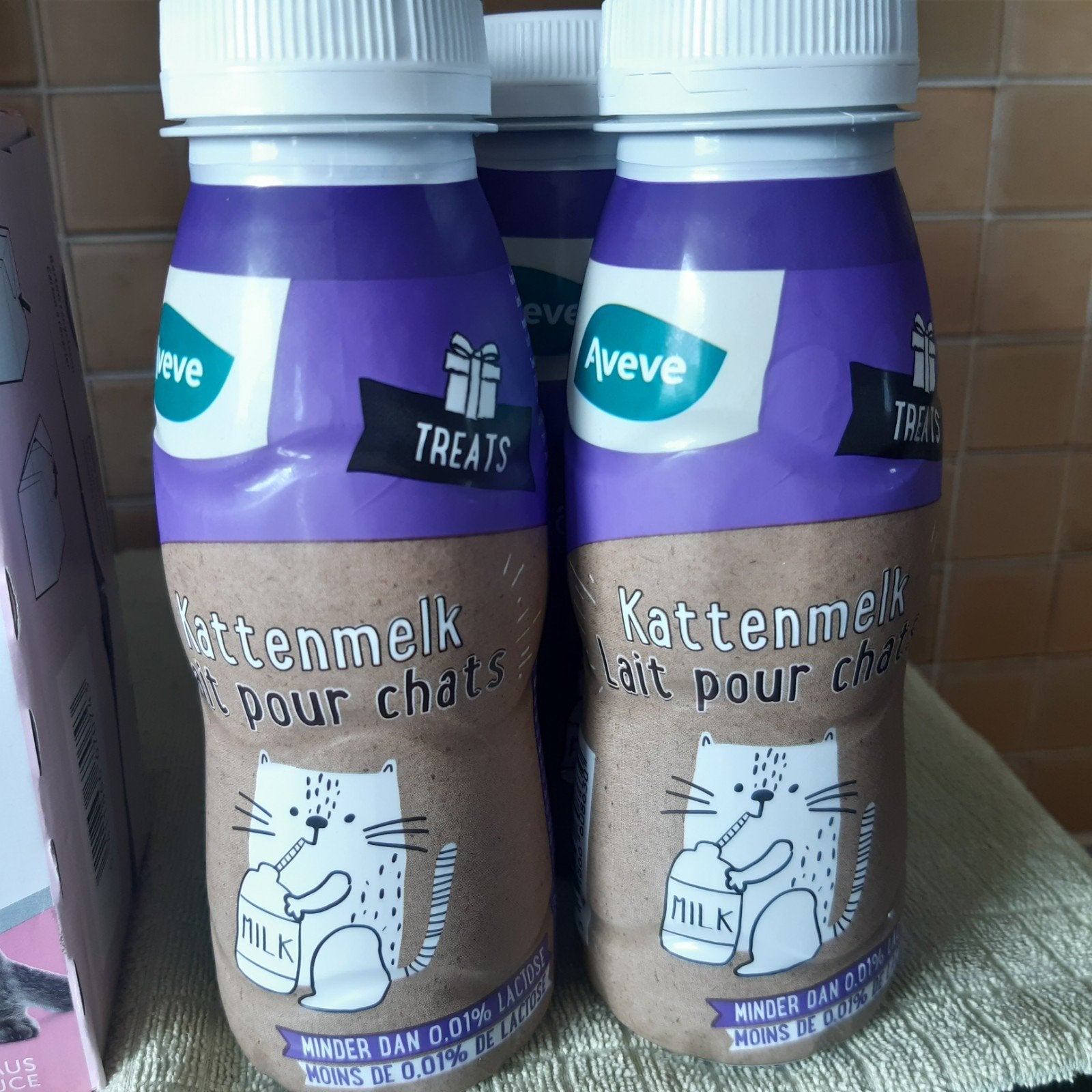 Kitten eten gratis, Dieren en Toebehoren, Ophalen
