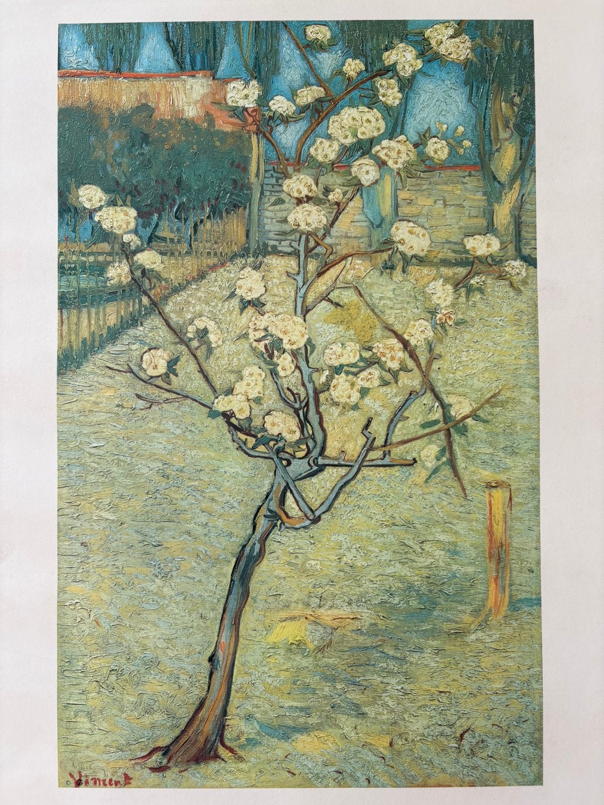 Vincent van Gogh | Perenboom | Originele poster, Ophalen of Verzenden