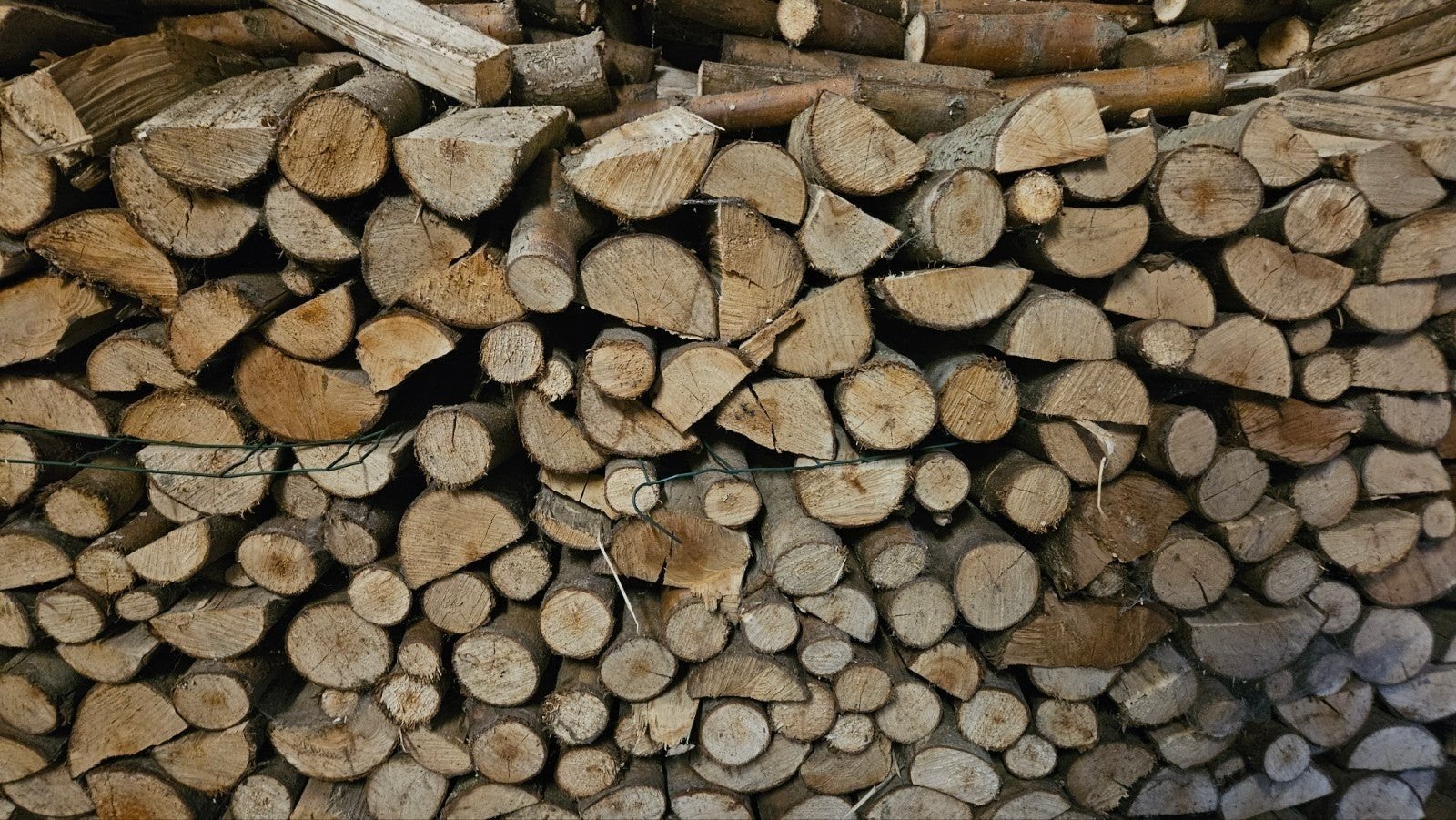 brandhout wilgenhout 2 jaar gedroogd, 6 m³ ou plus, Envoi, Autres essences de bois, Bûches