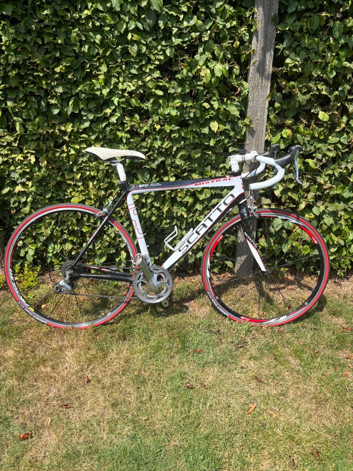 Scatto koersfiets m, Vélos & Vélomoteurs, Autres marques, Frein sur jante, 65 cm ou plus, Comme neuf
