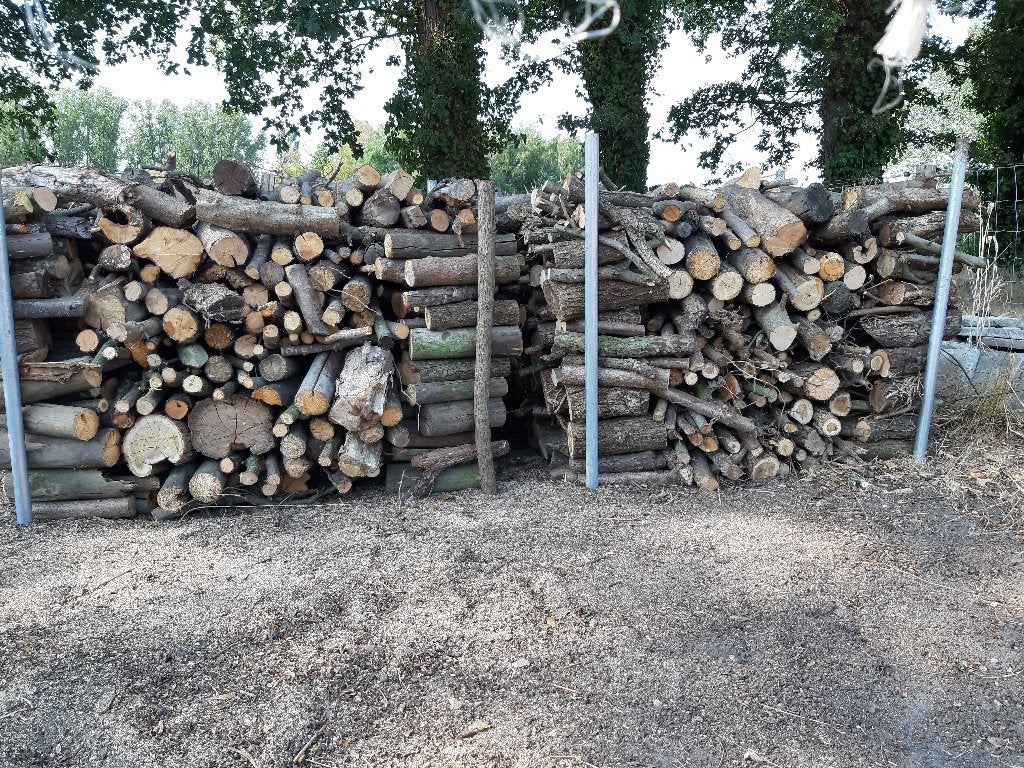 Brandhout, 3 à 6 m³, Enlèvement, Autres essences de bois, Troncs d'arbres