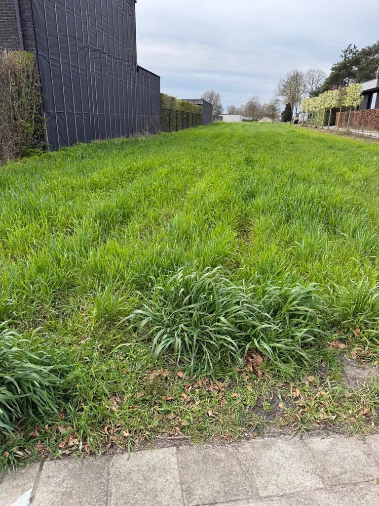 Grasland / braakliggende grond gezocht, Ophalen