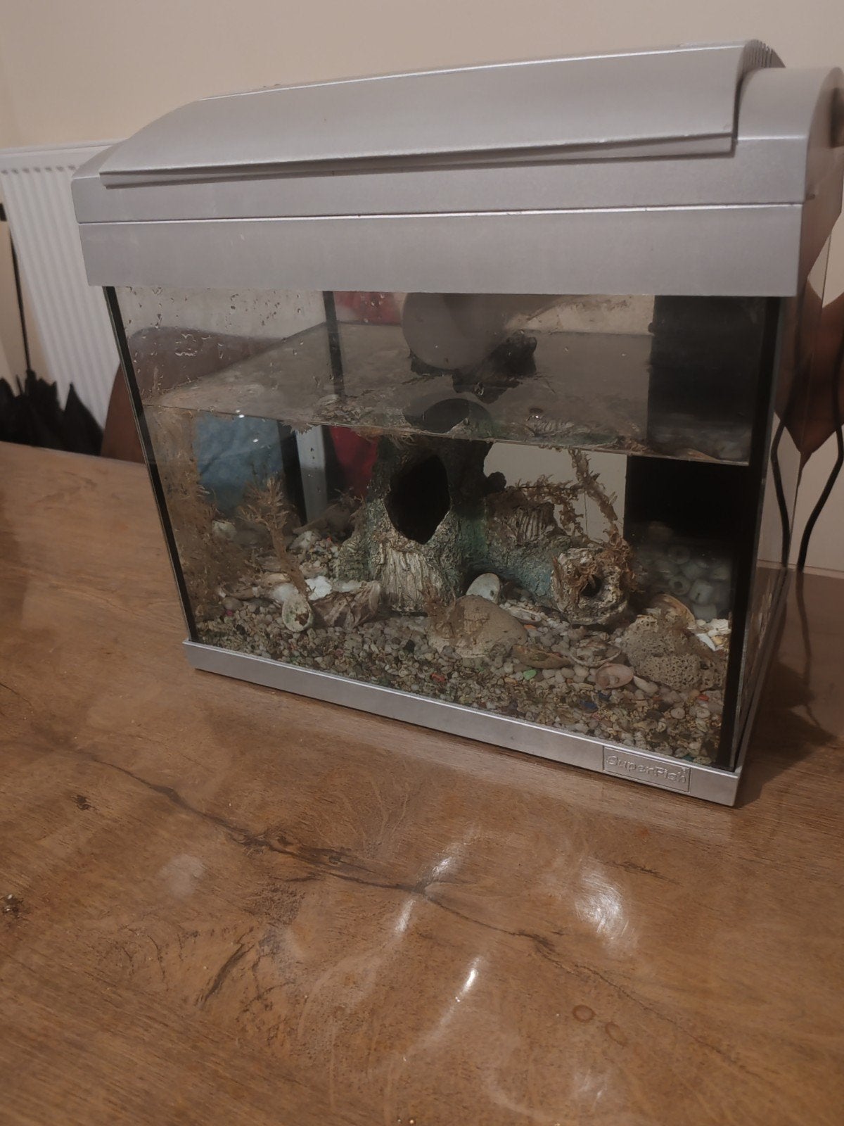 aquarium, Enlèvement ou Envoi