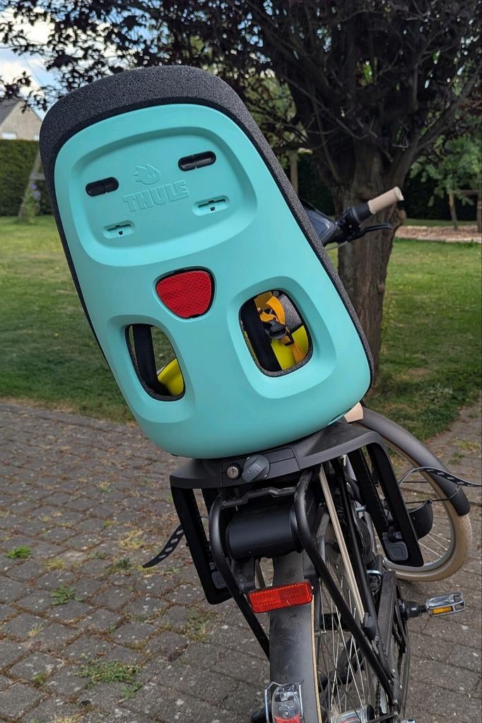 Thule Yepp Nexxt Maxi Mint fietsstoel, Fietsen en Brommers, Ophalen