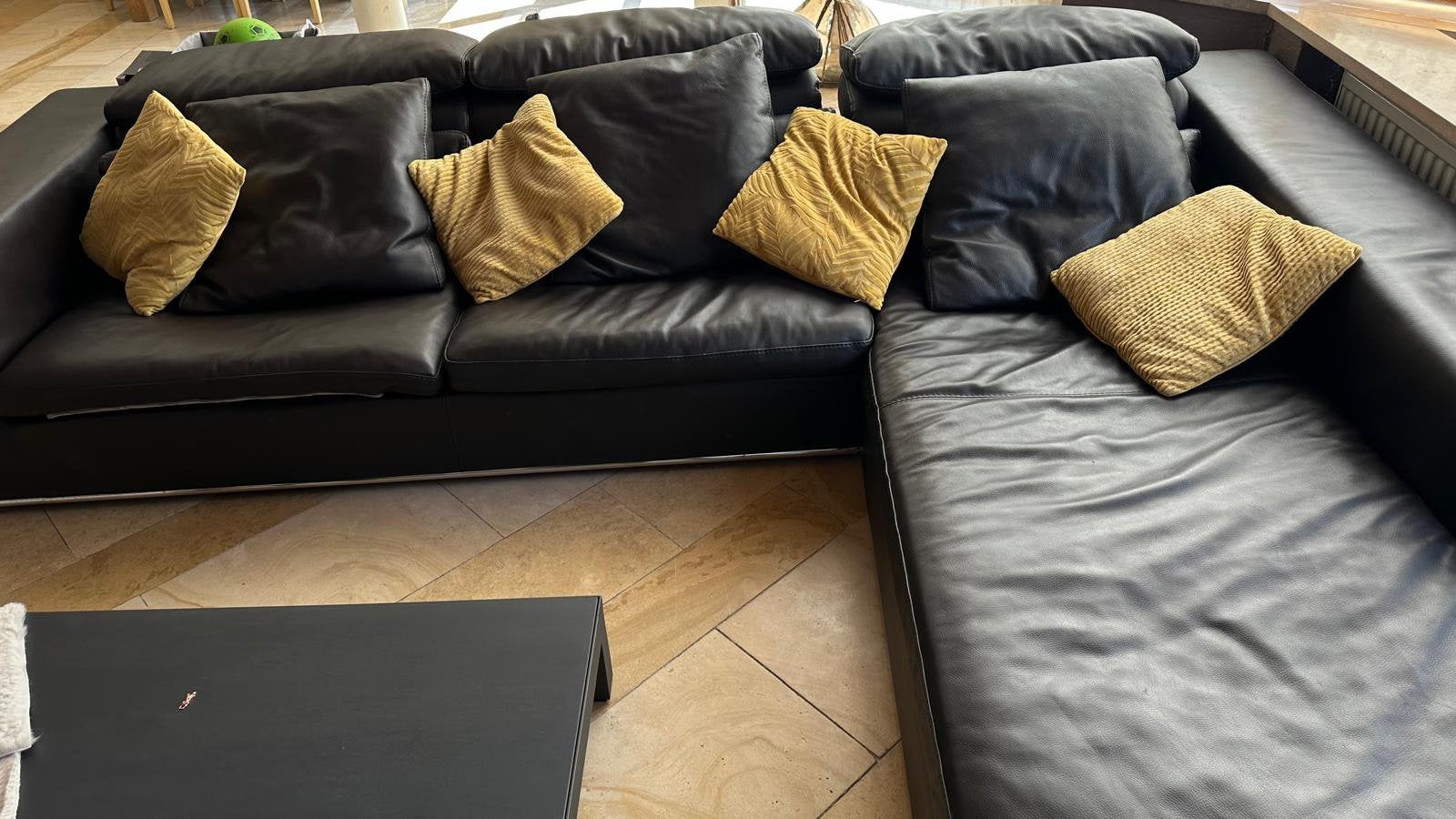 Canapé Roche Bobois, Enlèvement, Utilisé, Cuir