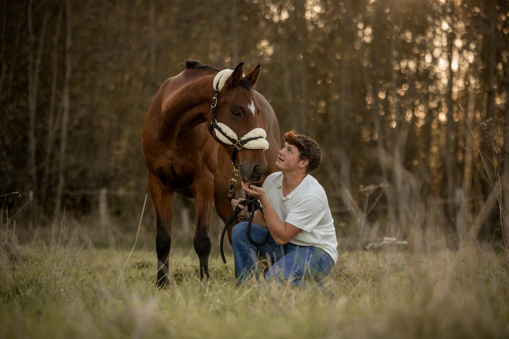 All round paard, Dieren en Toebehoren, Ruin