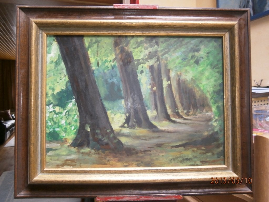 Schilderij "bospad in 's Gravenwezel", Ophalen, Zo goed als nieuw, Schilderij