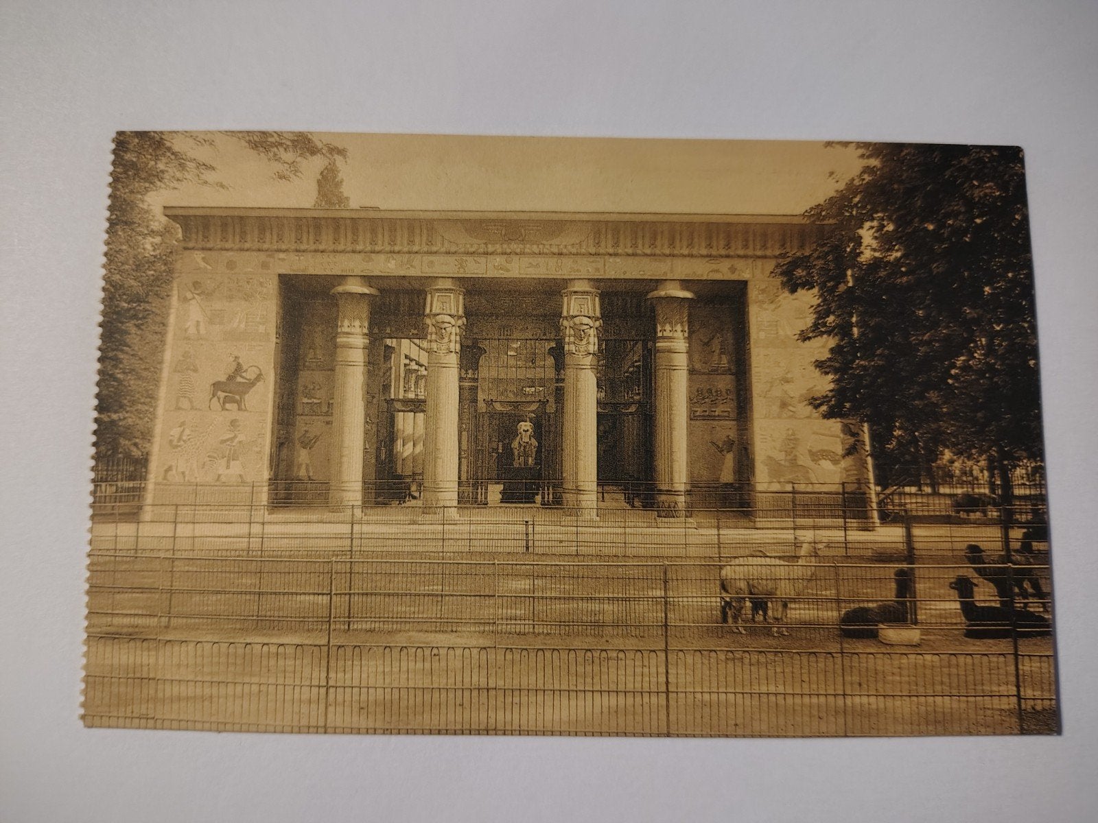 Antwerpen Zoo Egyptische Tempel., Ophalen of Verzenden, Antwerpen