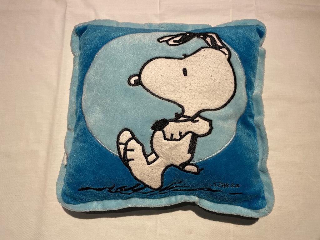 Kussen Snoopy, Verzamelen, Stripfiguren, Ophalen of Verzenden, Snoopy, Gebruikt, Gebruiksvoorwerp