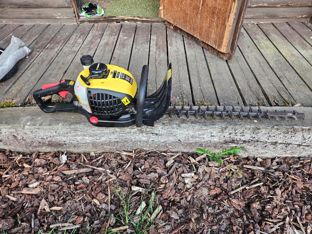 Haagschaar Benzine, Ophalen, Zo goed als nieuw, Benzine, Power Plus