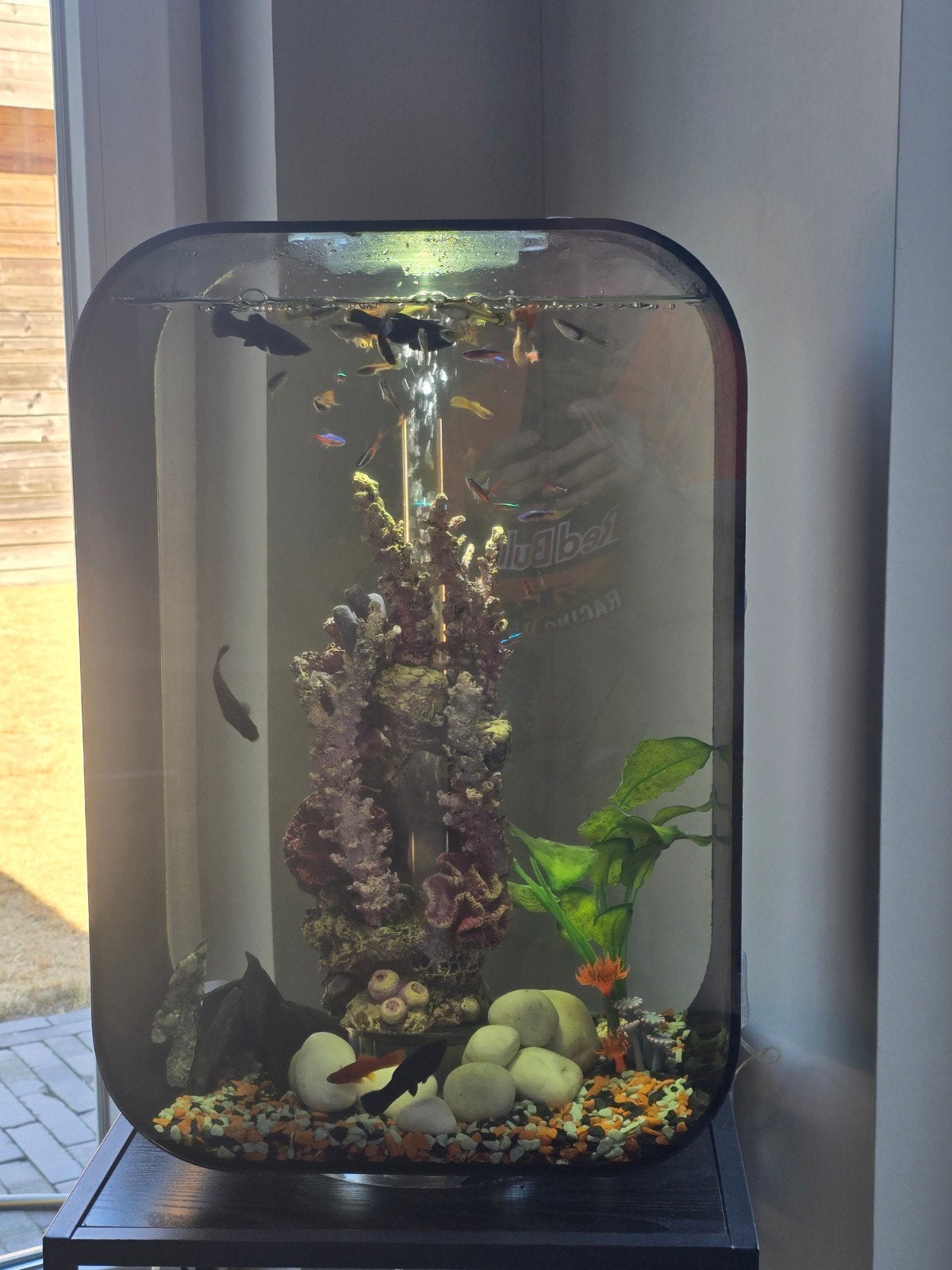 aquarium biorb, Dieren en Toebehoren, Vissen | Aquaria en Toebehoren, Ophalen