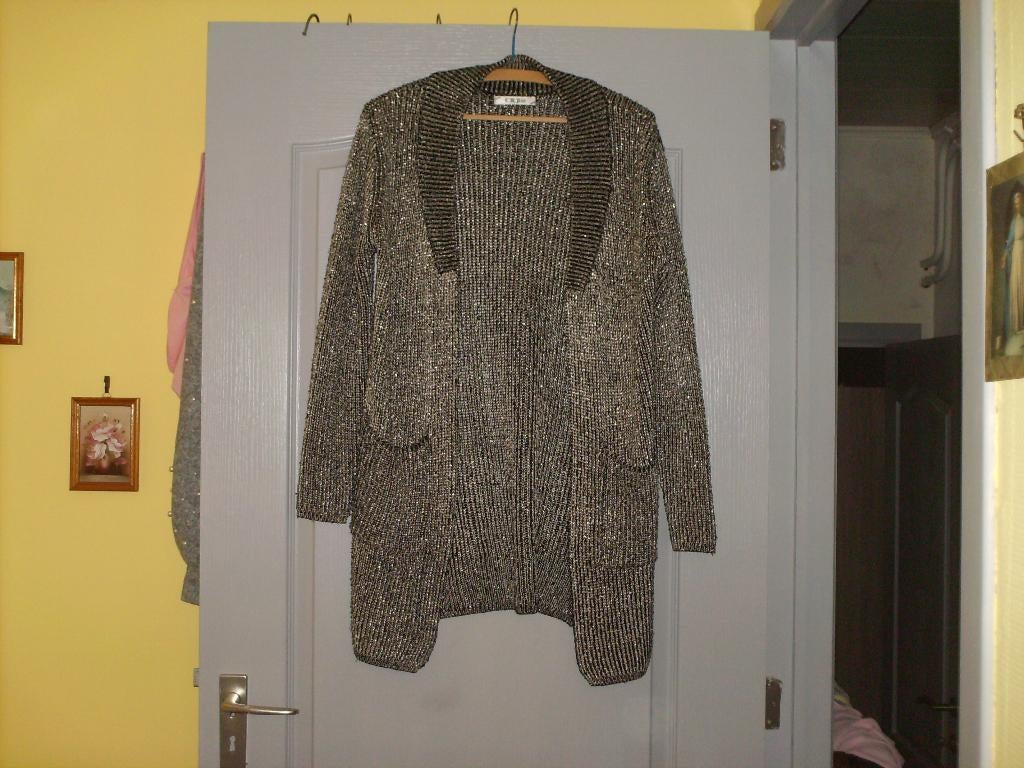 a vendre pull gilet pour dame, Vêtements | Femmes, Pulls & Gilets, Comme neuf, Autres couleurs, Enlèvement ou Envoi