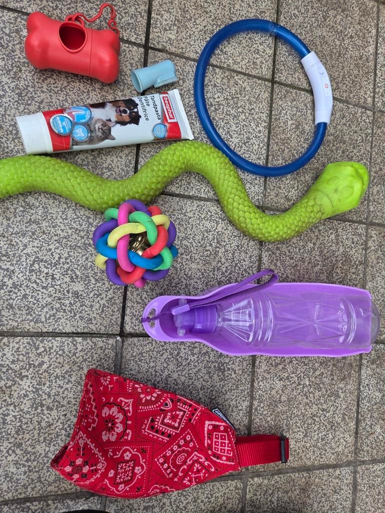 Hondengadgets, Ophalen