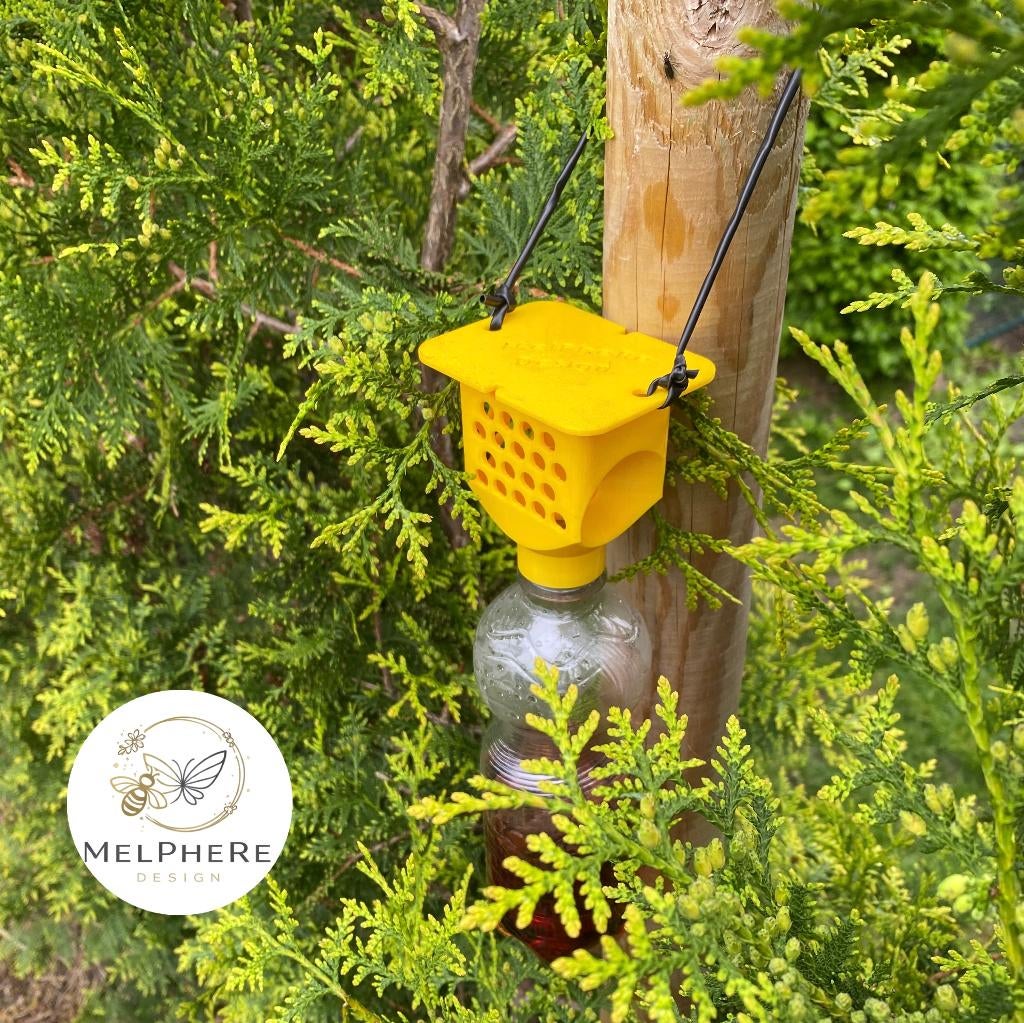 Piège à frelons asiatiques bouteille en PET - Vespa Velutina, Envoi, Neuf, Lutte antiparasitaire