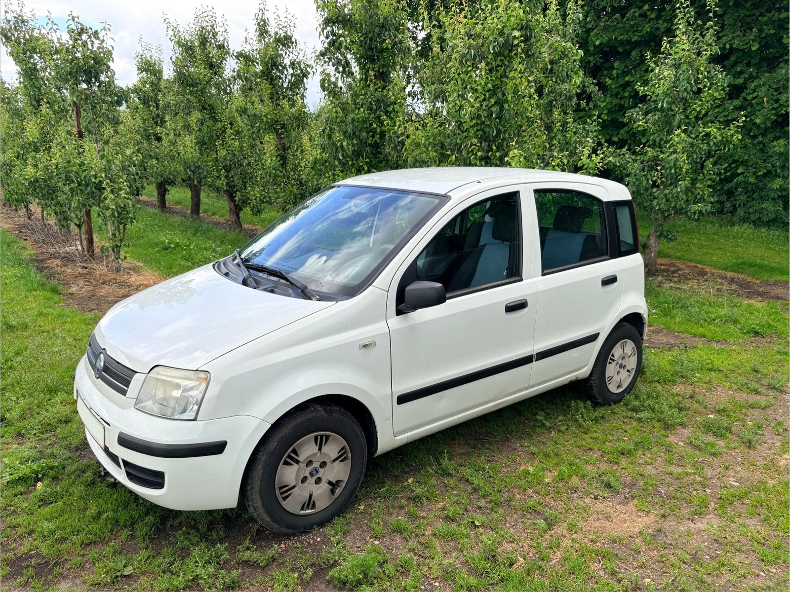 Fiat Panda 1.2 Benzine, Voorwielaandrijving, 4 zetels, Stof, Zwart