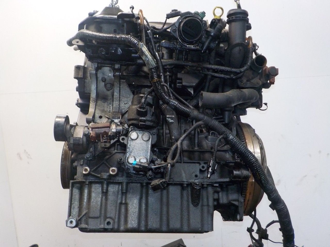 Motor Volvo V50, Auto-onderdelen, Onderdelen@venauto.nl, Van der Ven Autorecycling B.V., Gebruikt, Ettenseweg 76, 4706 PB Roosendaal, The Netherlands