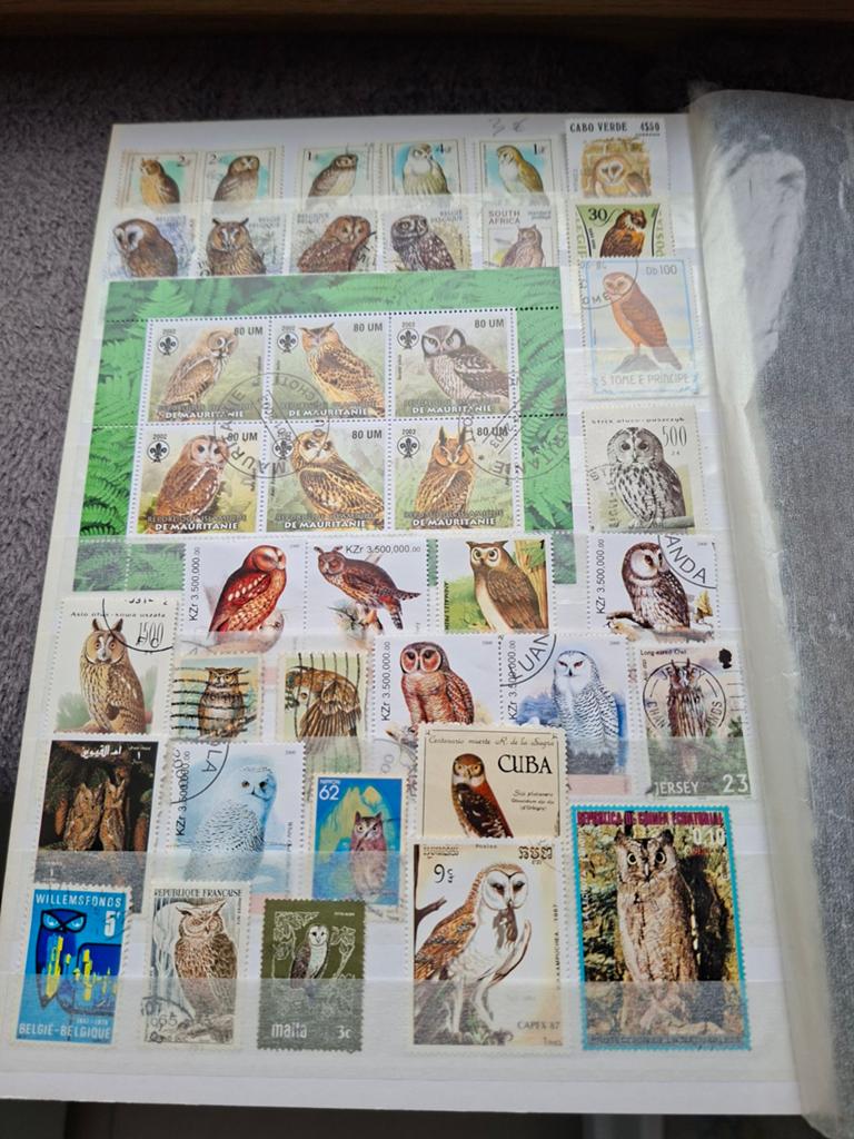 Postzegels uilen, Timbres & Monnaies, Timbres | Timbres thématiques, Enlèvement