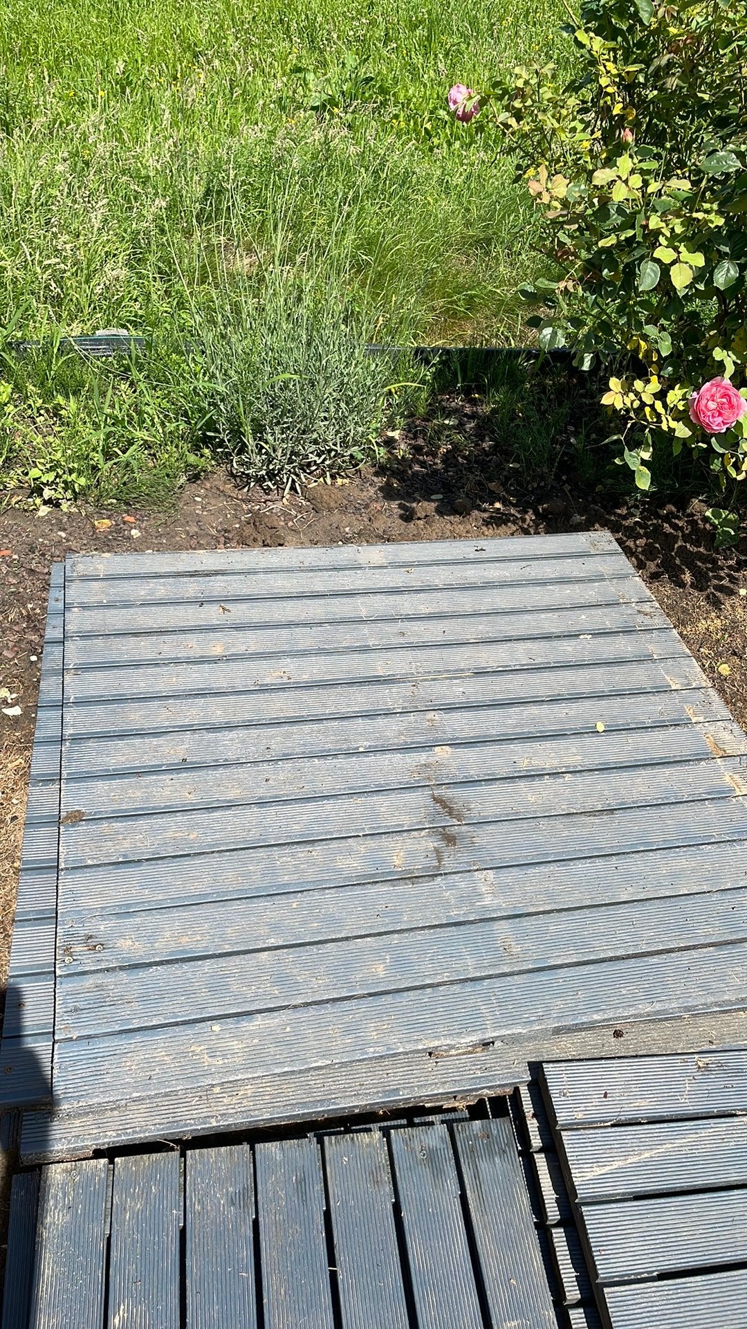 Hartdhout  terras tegels, Ophalen, Gebruikt