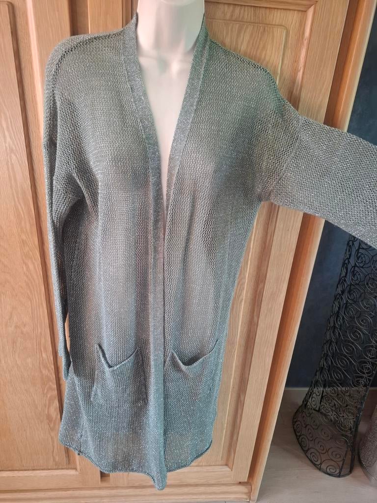Gilet fluide léger Dixie S 36 vert et lurex argenté, Neuf, Enlèvement ou Envoi, Taille 36 (S), Dixie