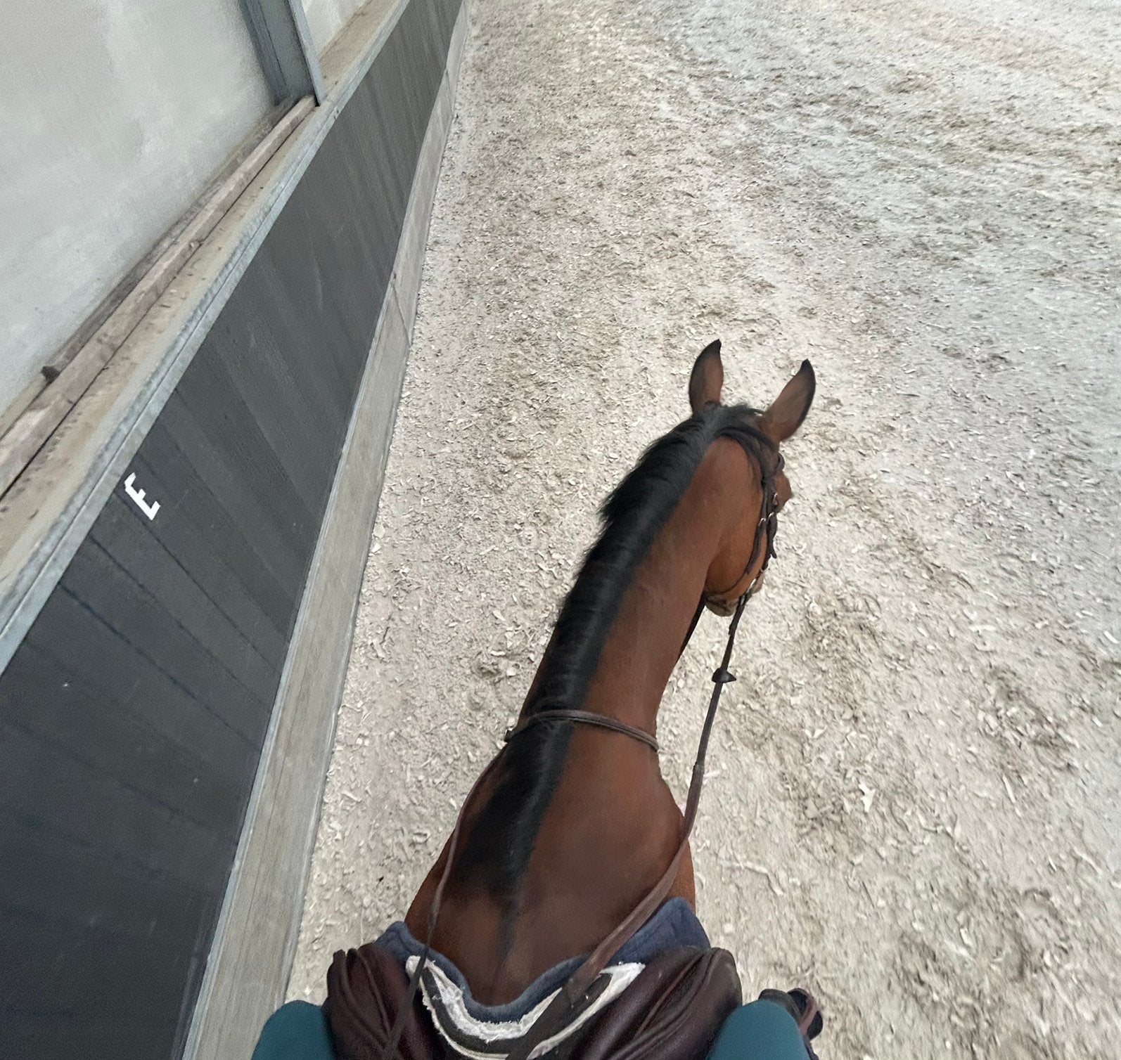 Parttime werk gezocht binnen de paardensector