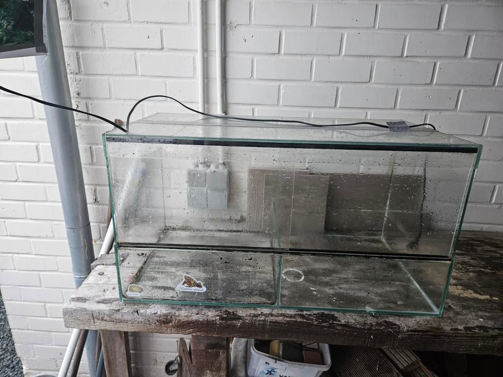 Terrarium 75×40×40cm, Dieren en Toebehoren