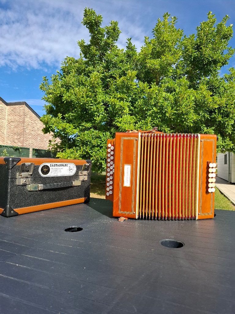 Alain 12 Diatonische Castagniari accordeon, Muziek en Instrumenten, Gebruikt, Met koffer, Knopaccordeon, Ophalen