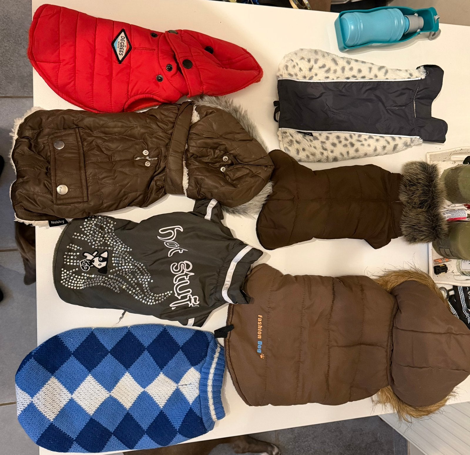 Hondenspulletjes te koop., Dieren en Toebehoren, Ophalen, Zo goed als nieuw