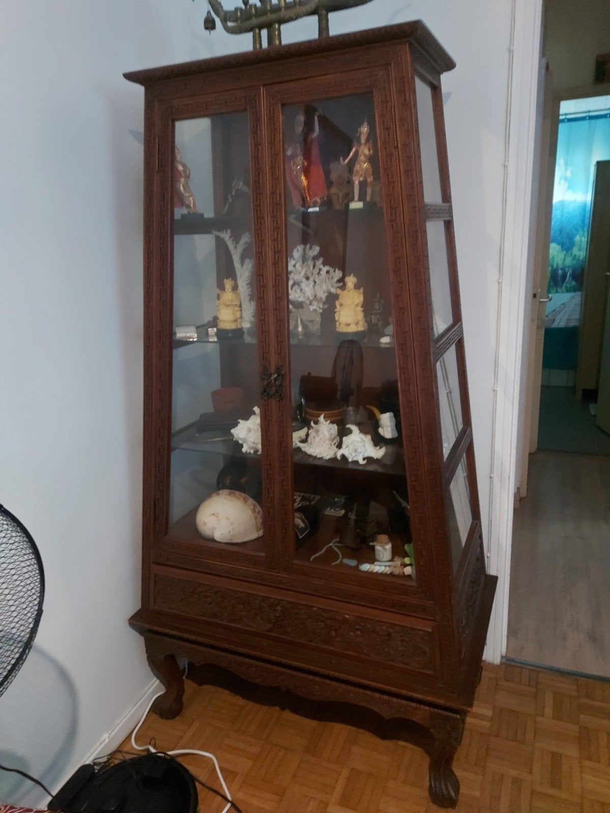 Vitrine thaïlandaise, Enlèvement