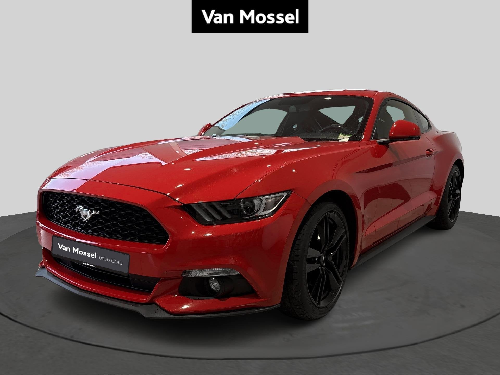 Ford Mustang 2.3i EcoBoost | Red Pony | Recaro | Automaat |, Auto's, Automaat, 4 zetels, Gebruikt, Euro 6