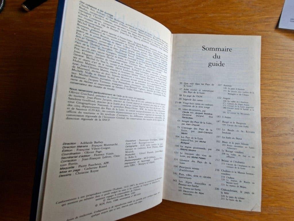Les Guides Bleus - Pays de la Loire, Livres, Guide ou Livre de voyage, Autres marques, Enlèvement ou Envoi, Utilisé