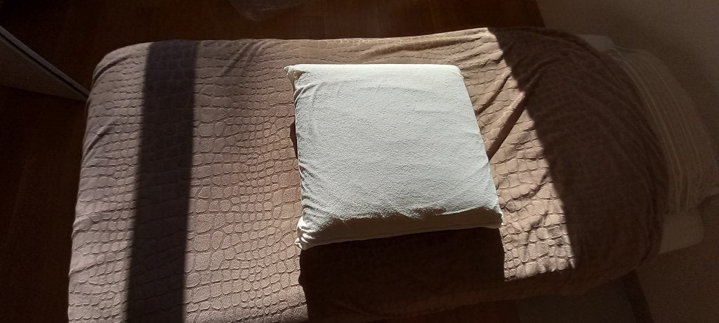 Oreiller en latex + 1 taie protectrice supplémentaire., Oreiller, Enlèvement, Blanc, Housse amovible