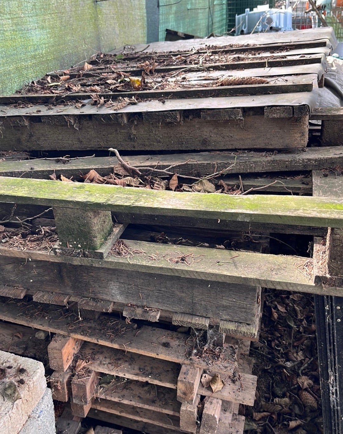 Gratis pallet hout, Ophalen