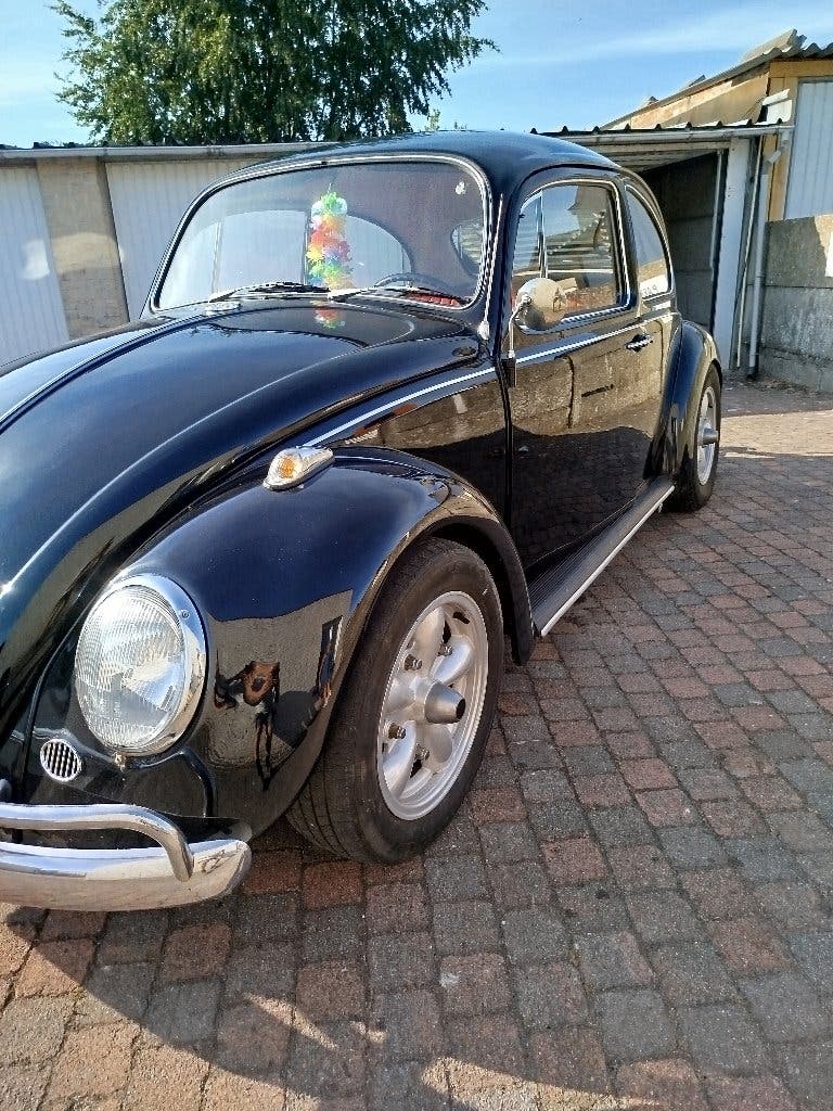 Volkswagen kever 1966 " one year only", foto 2
