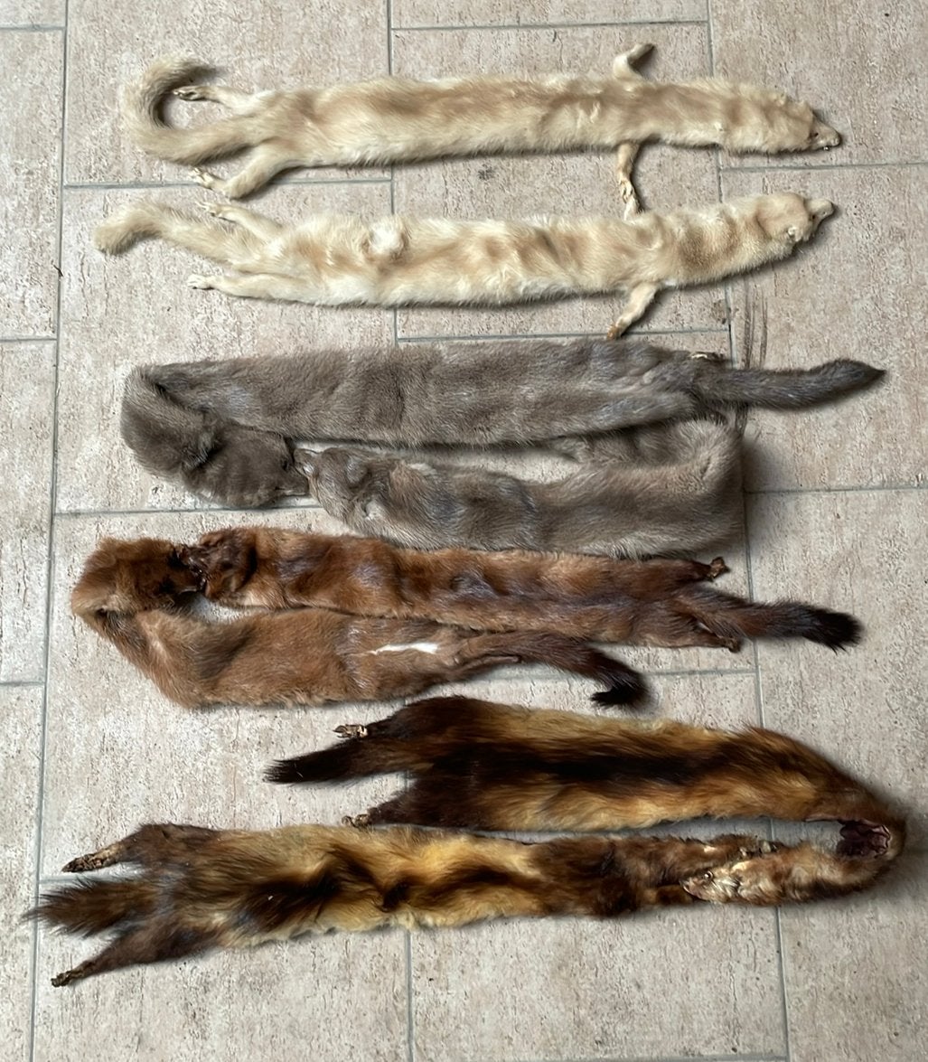 Nertsen, Collections, Enlèvement ou Envoi, Utilisé, Animal de ferme, Autres types