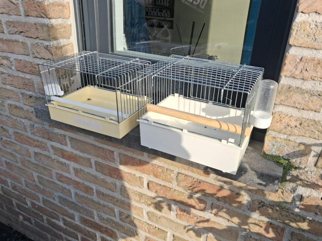 2x Babykooitjes kanaries of dergelijke. / heel goede staat, Dieren en Toebehoren, Vogels | Toebehoren, Ophalen of Verzenden, Gebruikt