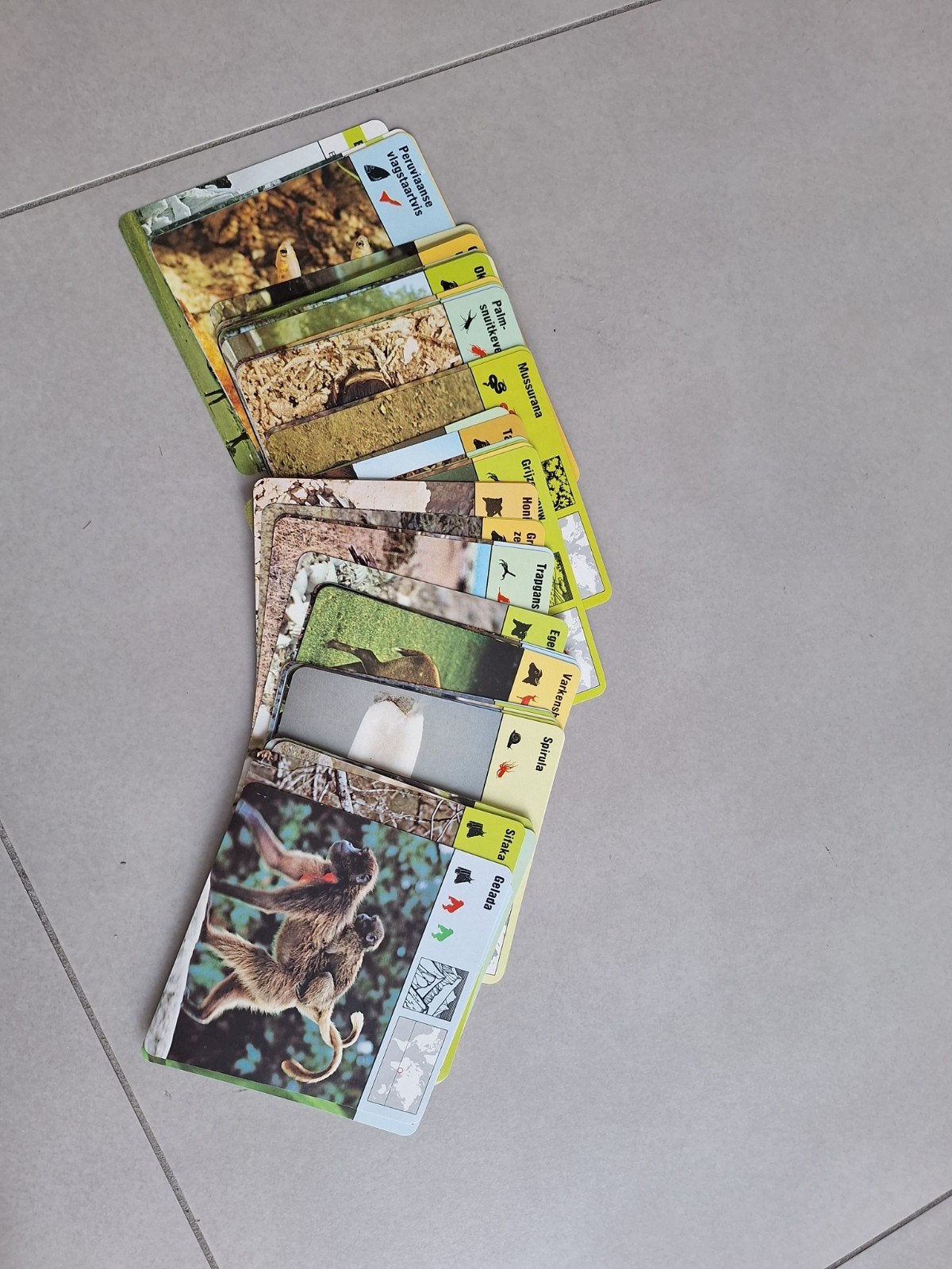 verzamelkaarten dieren, Ophalen of Verzenden