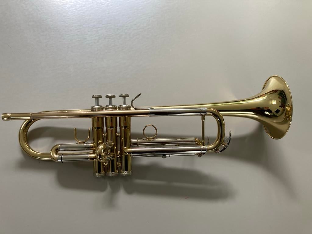 Trompet Besson BE110, Musique & Instruments, Instruments à vent | Trompettes, Utilisé, Trompette en si bémol, Avec valise, Enlèvement