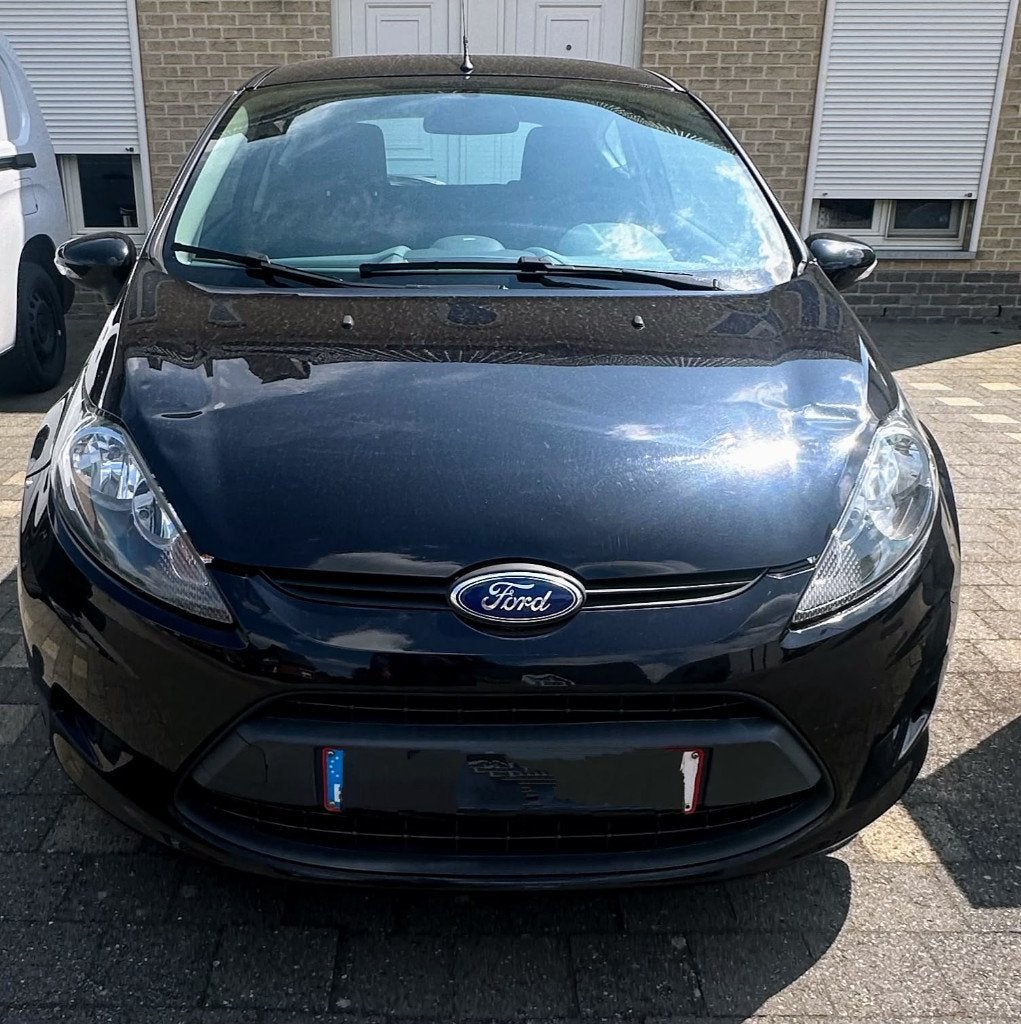 Ford Fiesta 1.6 TDCI ECOnetic, 2010, eco., keuring + carpass, Auto's, Euro 5, Diesel, Particulier, Te koop
