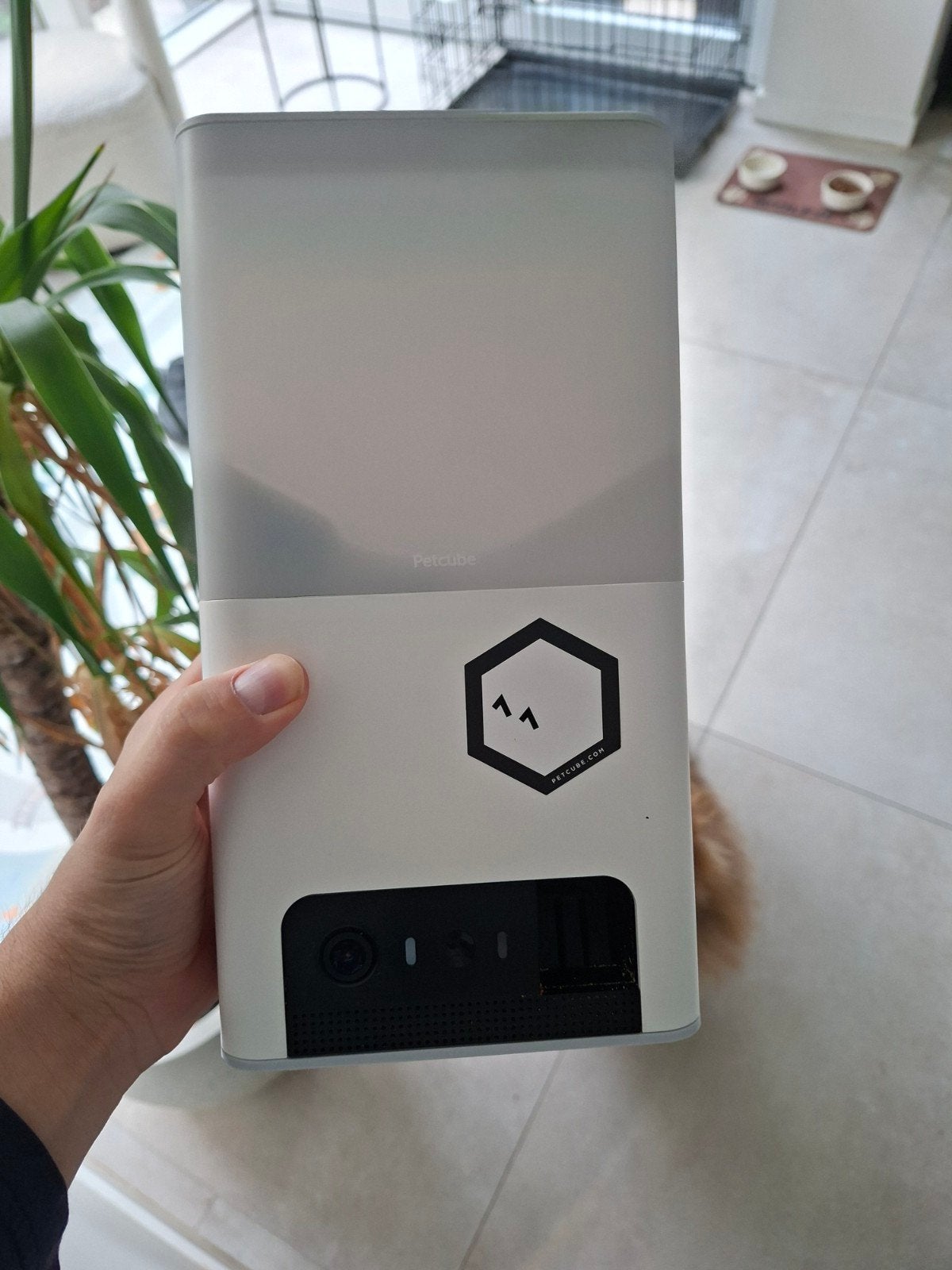petcube smart pet camera / feeder BL10US Bites, Ophalen of Verzenden, Hond