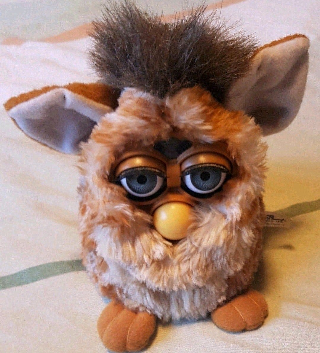 vieux furby, Enlèvement