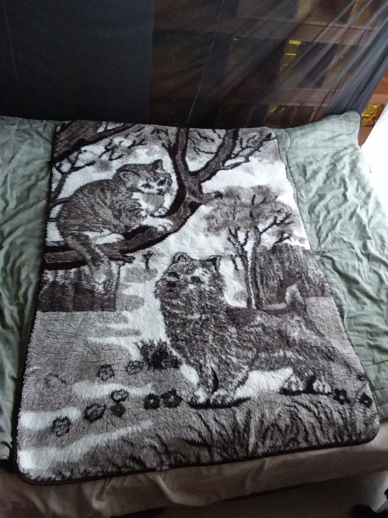 100x140cm schapenwol, Enlèvement ou Envoi, Beige, Autres marques, Protège-matelas