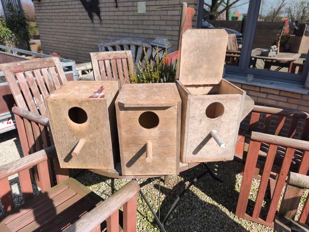 Kweekblokken, Dieren en Toebehoren, Ophalen