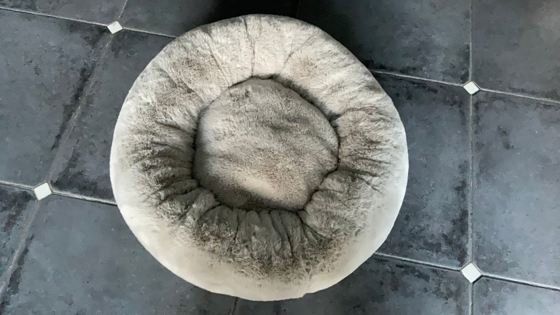 Honden kussen, Animaux & Accessoires, Paniers pour chiens, Enlèvement, Neuf, Poussière