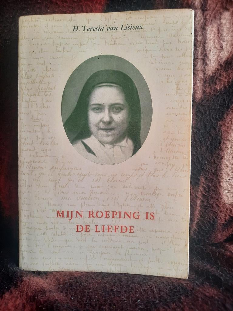 H. Teresia van Lisieux Autobiografische geschriften 1960, Ophalen of Verzenden, Gelezen, Christendom | Katholiek